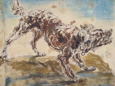 Studie eines Hundes von Jan Fyt